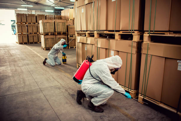 Wildlife Control Services in Allentown, NJ