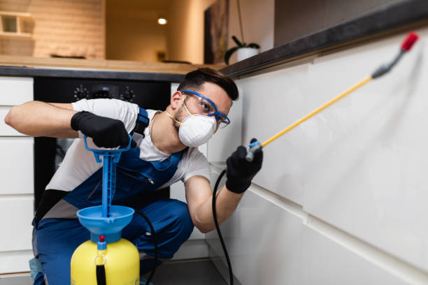 Best Cockroach Control Services  in Allentown, NJ