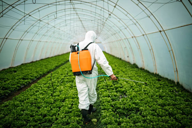 Professional Pest Control in Allentown, NJ