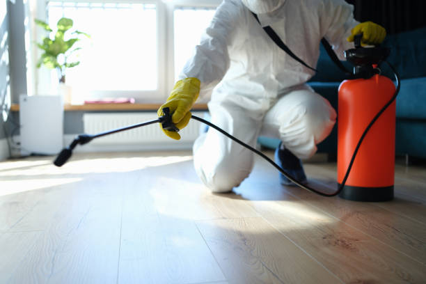 Best Pest Control Near Me in Allentown, NJ