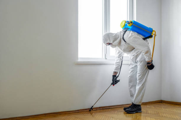 Wasp Removal Services in Allentown, NJ