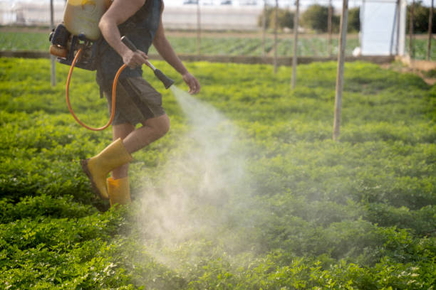 Best Best Pest Control Companies  in Allentown, NJ