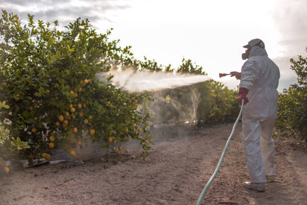 Best Affordable Pest Control Services  in Allentown, NJ