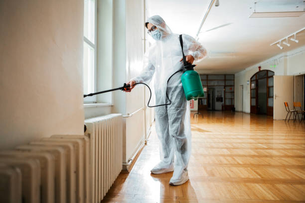 Best Local Pest Control Services  in Allentown, NJ