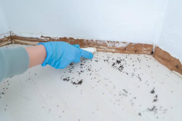 Best Mosquito Control Services  in Allentown, NJ