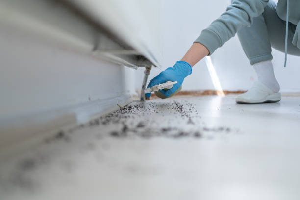Best Rat Extermination Near Me  in Allentown, NJ