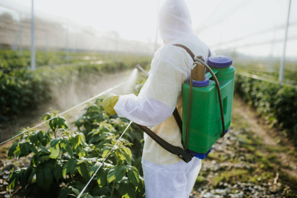 Best Affordable Pest Control Services  in Allentown, NJ